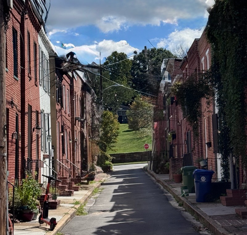 Historic Federal Hill 21230 brick townhouse with architectural detailing on a sunny day.