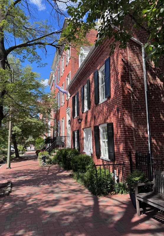 Shaded brick sidewalk lined with historic Federal Hill 21230 homes and trees.
