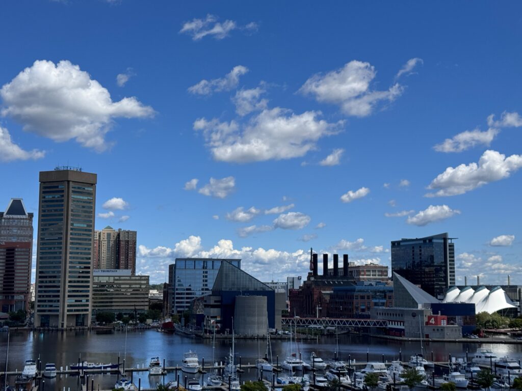 Rowhouses in Federal Hill 21230 with the Domino Sugar sign visible in the distance.