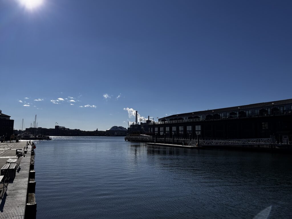 Contrast between Harbor East towers and historic Fells Point waterfront homes viewed from Thames Street, illustrating differences in insurance risk for older Baltimore rowhouses.